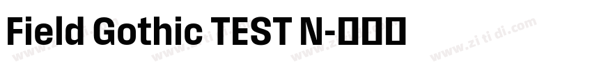 Field Gothic TEST N字体转换
